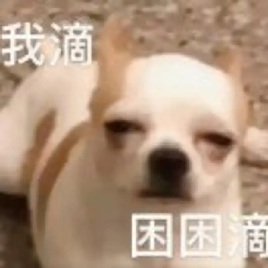 宋超18434188525的头像