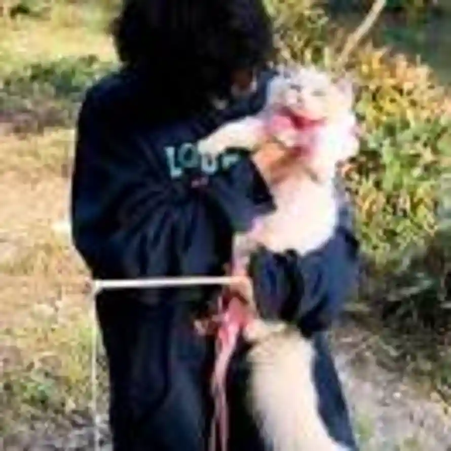 阳春不下白雪的头像