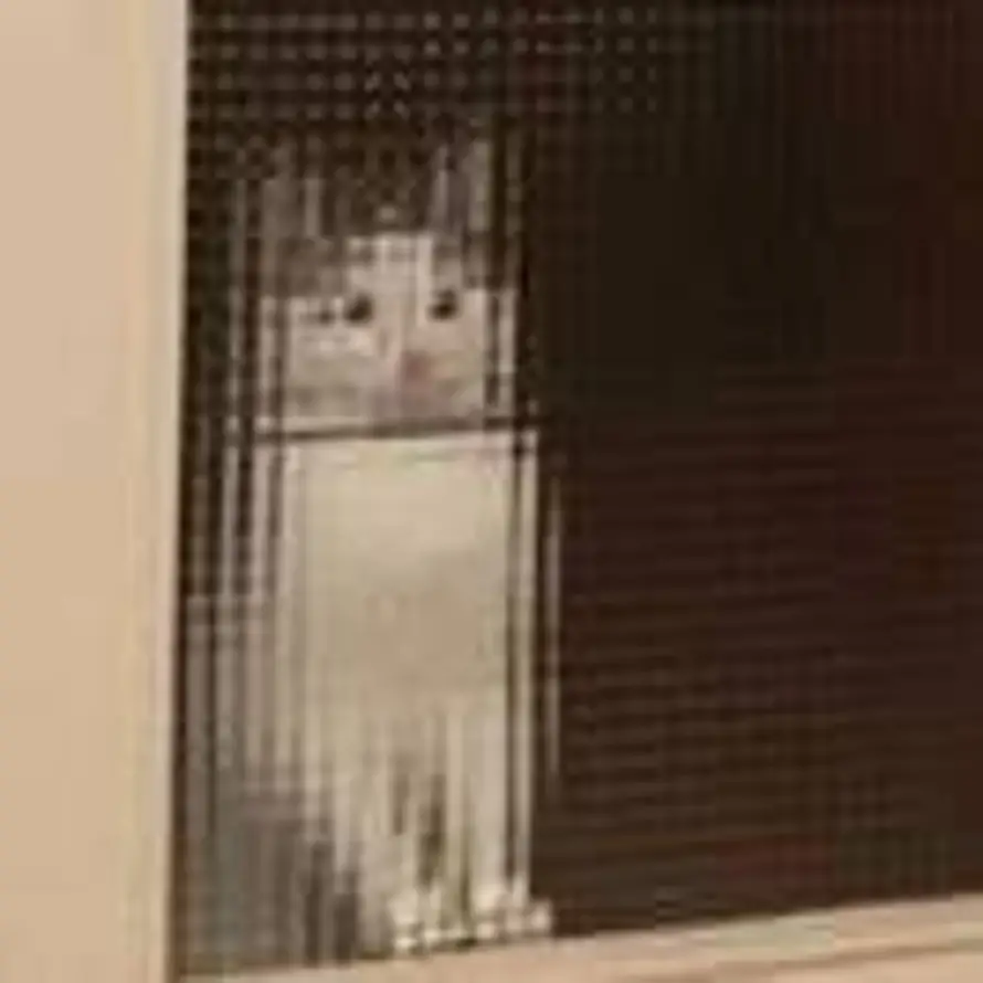 介里是马先森的头像