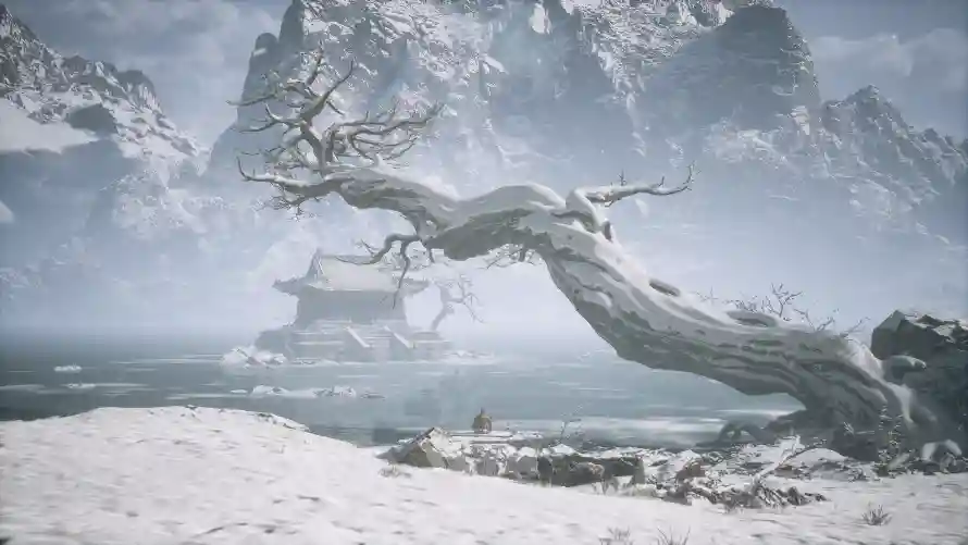 Favorite Image