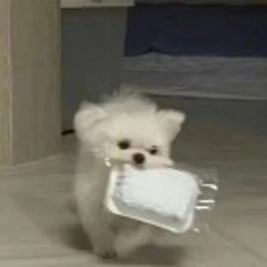 心中已过万重山的头像