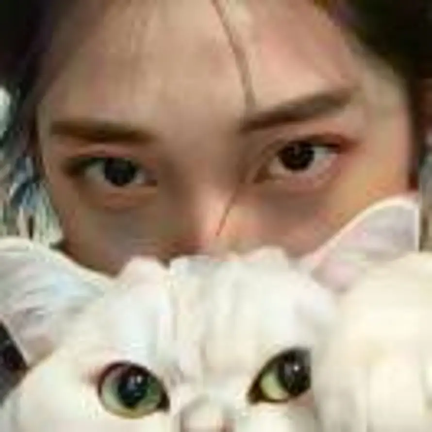 世界上情绪最稳定的男人的头像