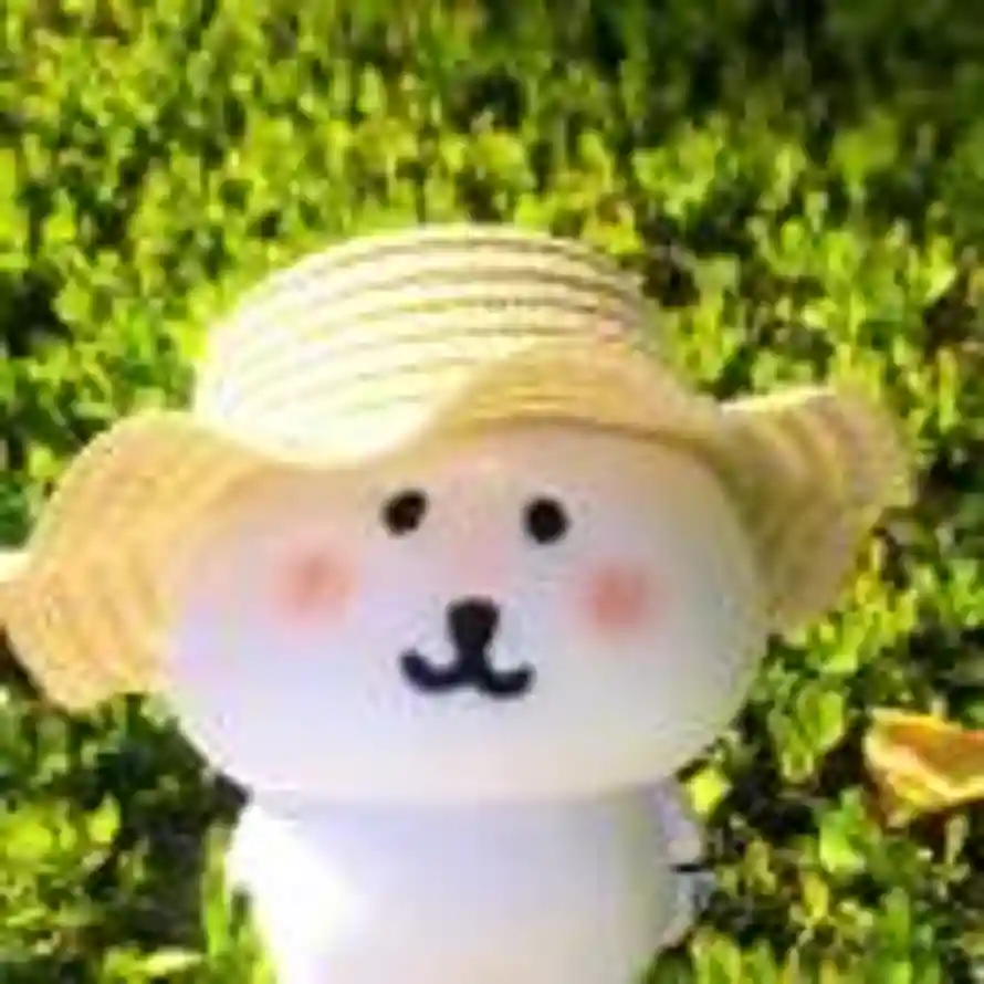 🐱的头像