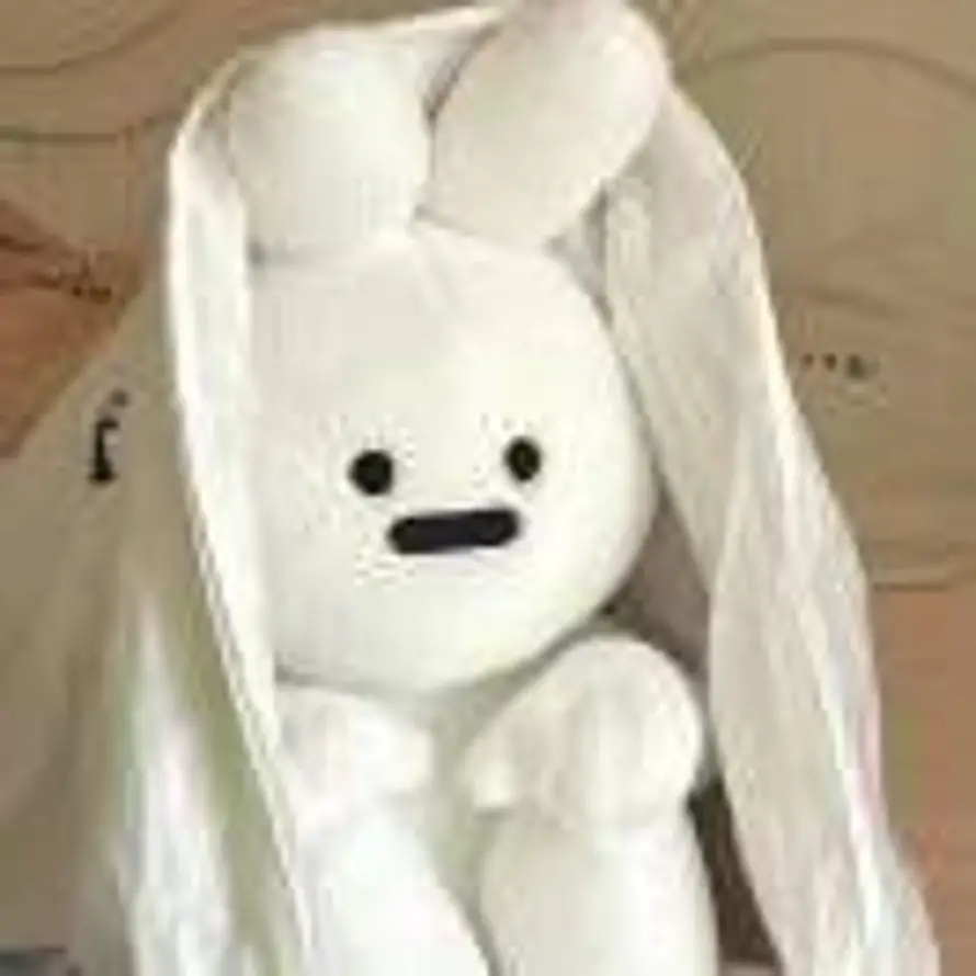 y的头像