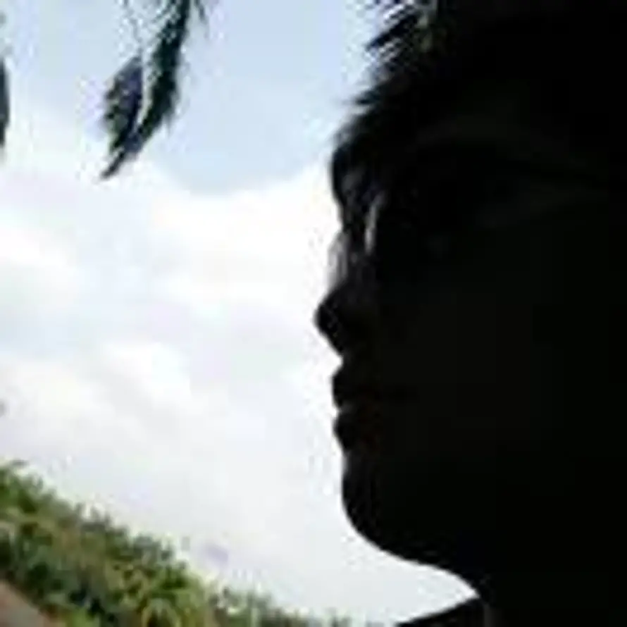 创维光伏王涛的头像