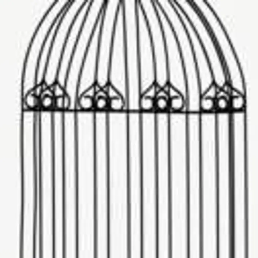 🎶🎧🎶的头像