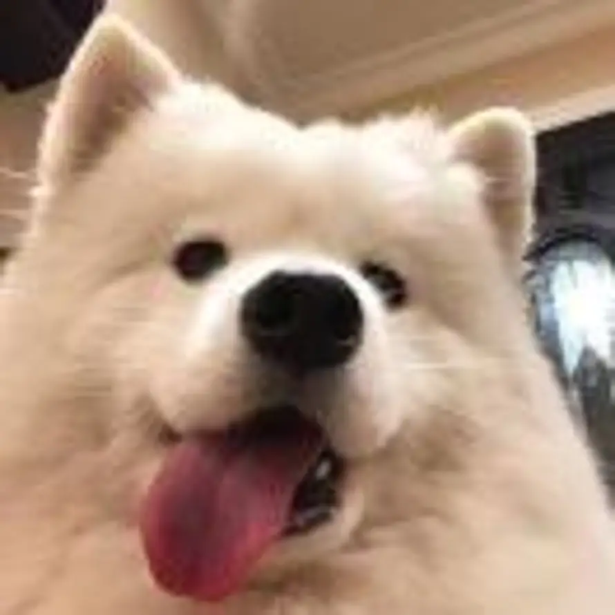 张三的头像