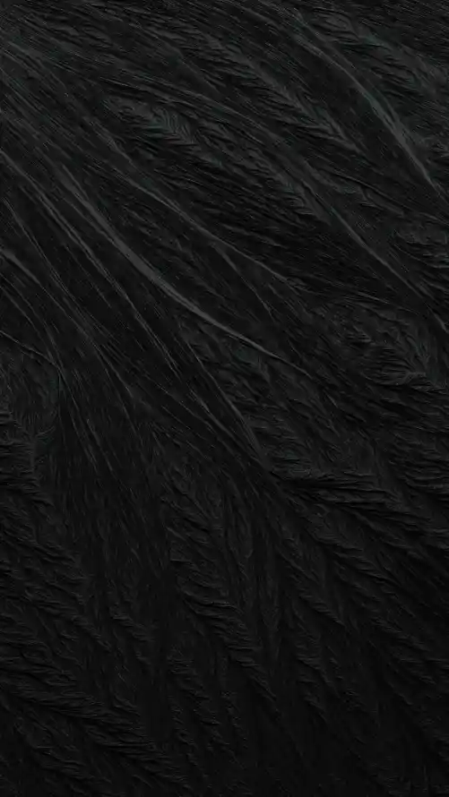4k纹理壁纸 - 黑色 - 手机壁纸 - wallpaper「哲风壁纸」