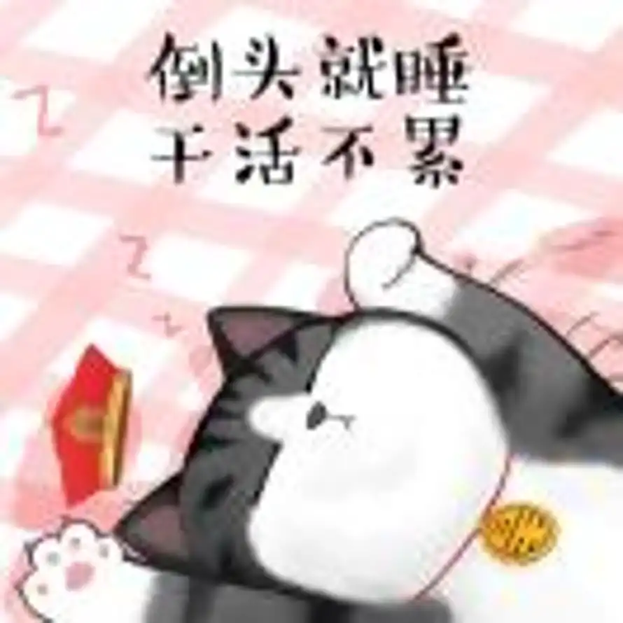 cindy的头像