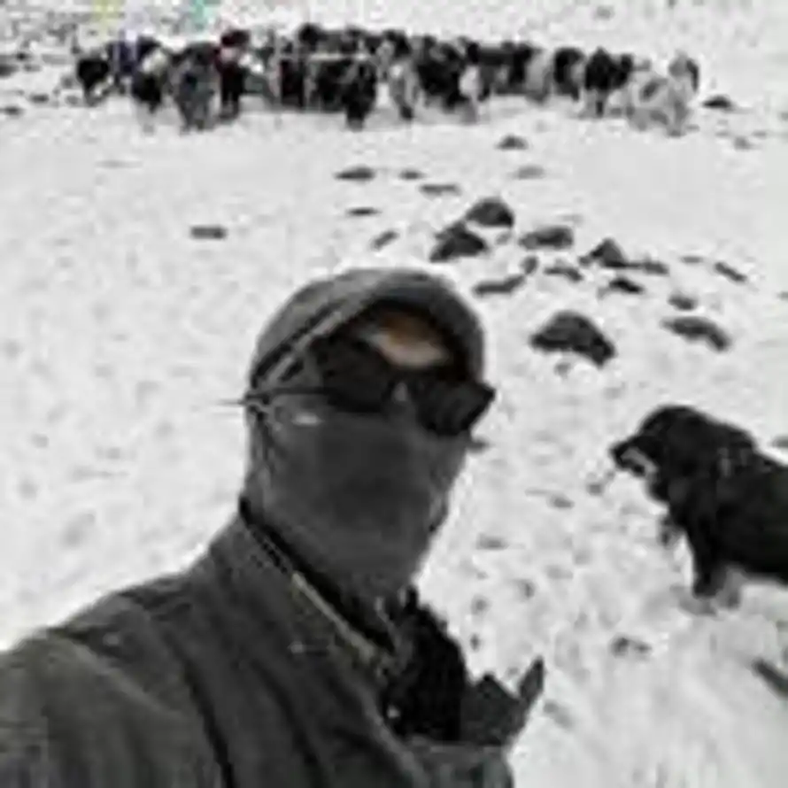 不做菜的小蔡的头像