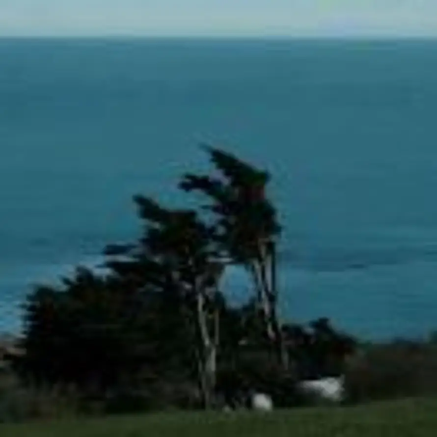 AndEsHen๛🍁的头像