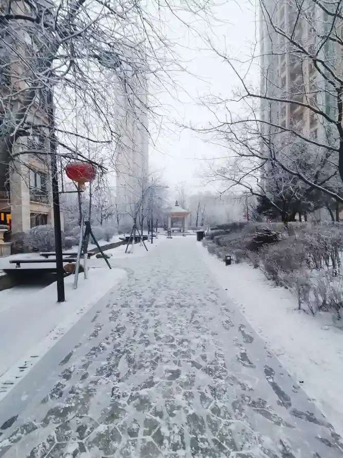 4k冬日壁纸 - 雪 - 景观 - 雪景「哲风壁纸」