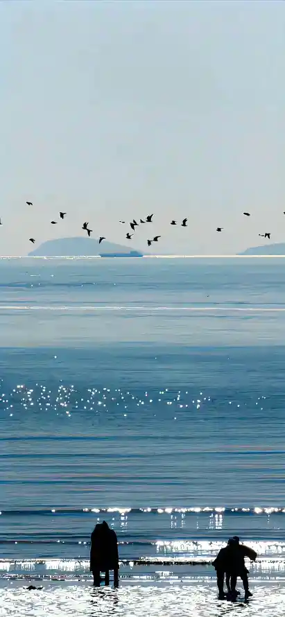 4k海边壁纸 - 蓝天 - 海边风景 - 海鸟飞翔「哲风壁纸」