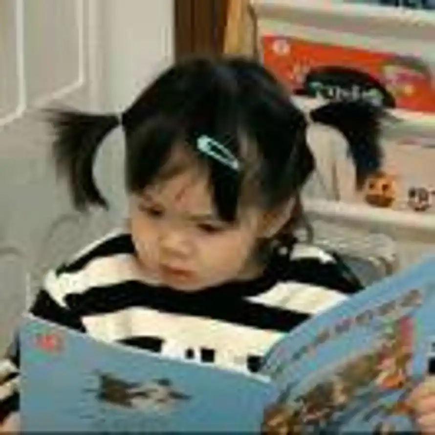 剑穗挂着新流苏的头像