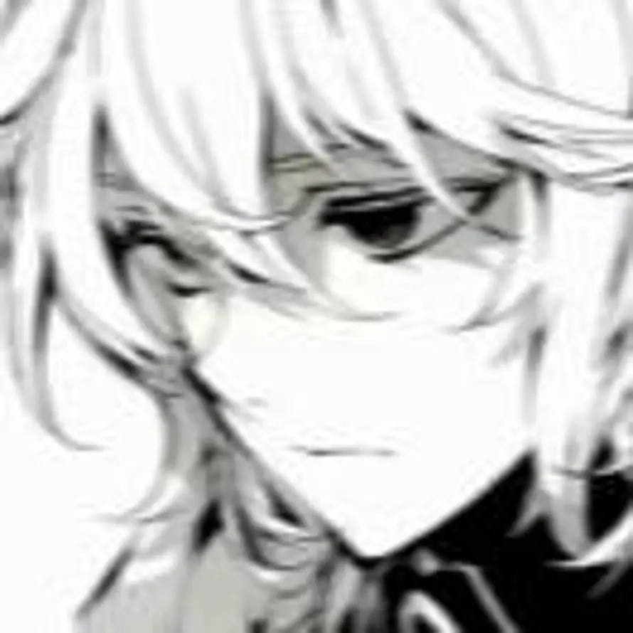 毕竟雪落无声的头像