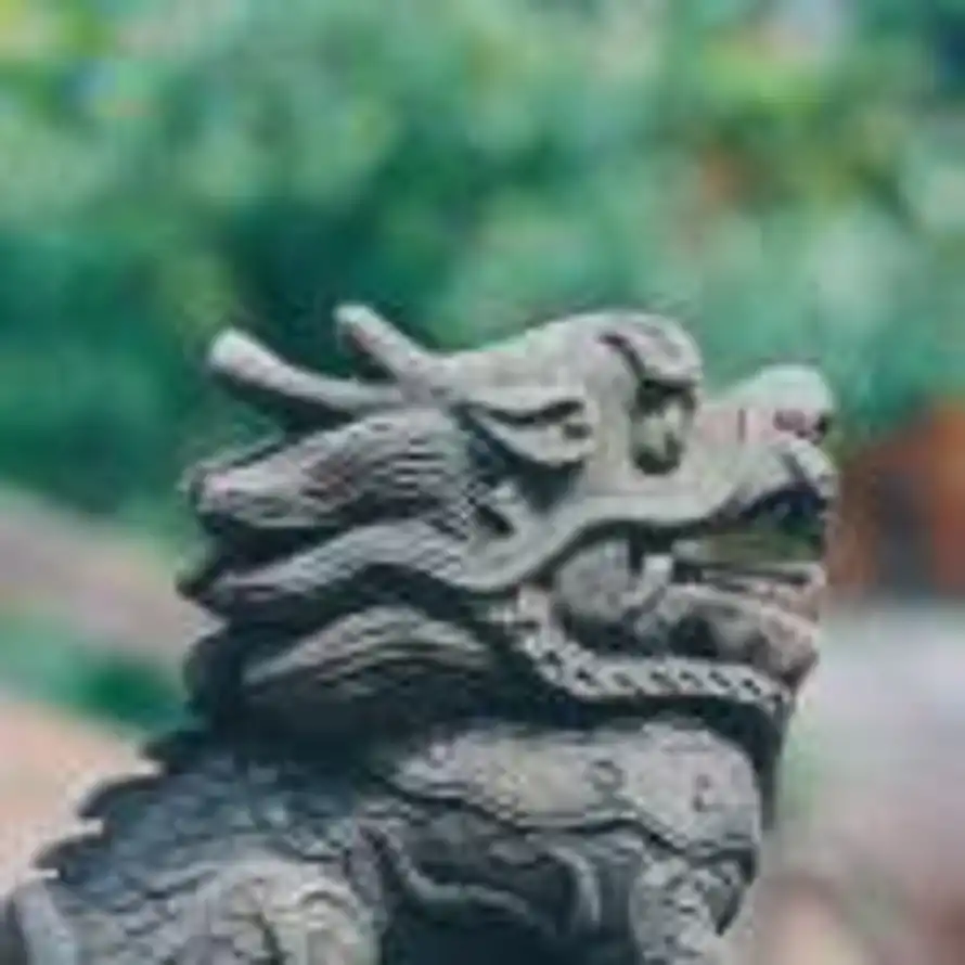 木木的头像