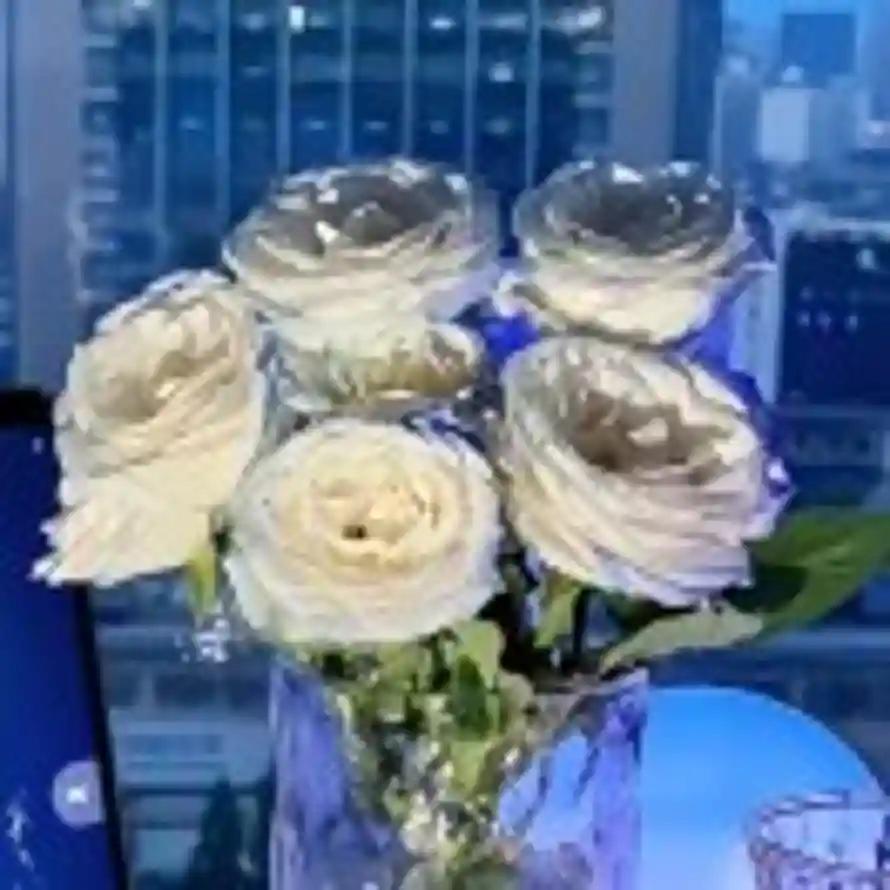 Aurora_Xin的用户头像 - 哲风壁纸