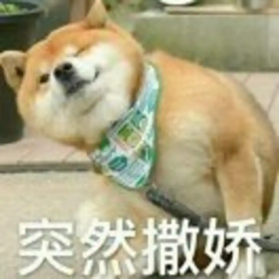 sleepy dog的头像
