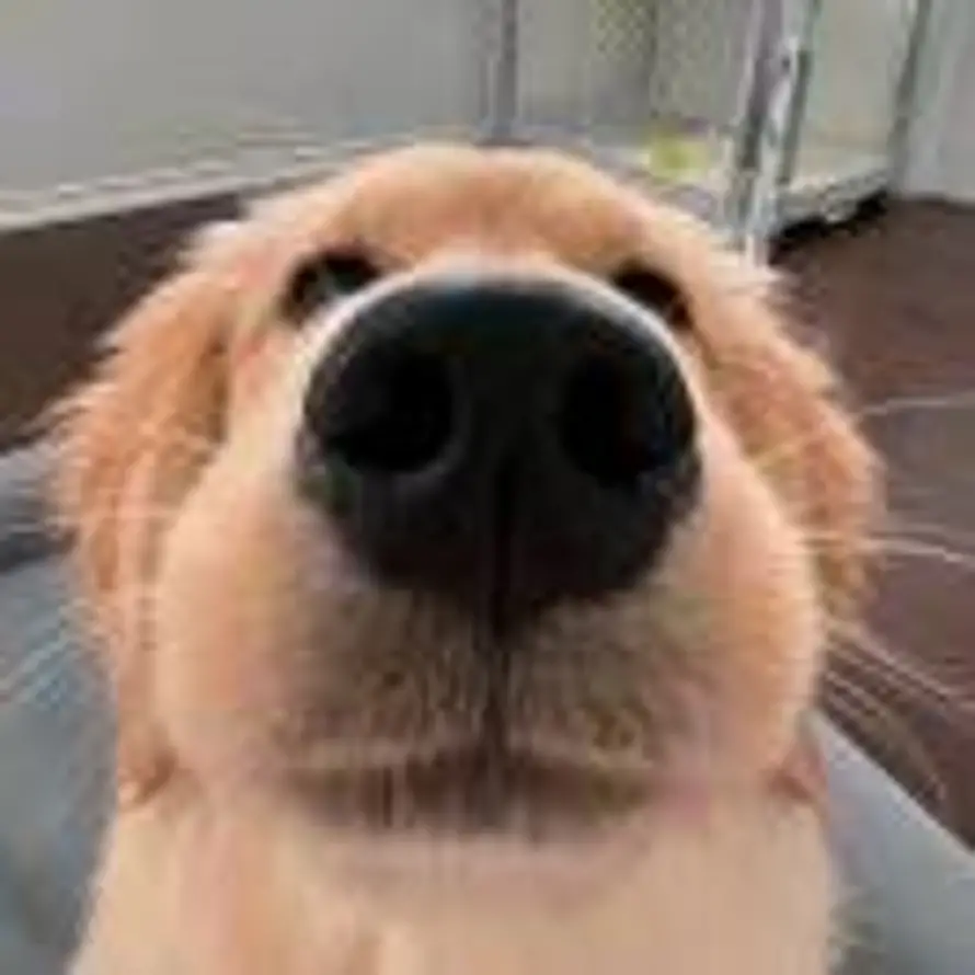 KB的头像