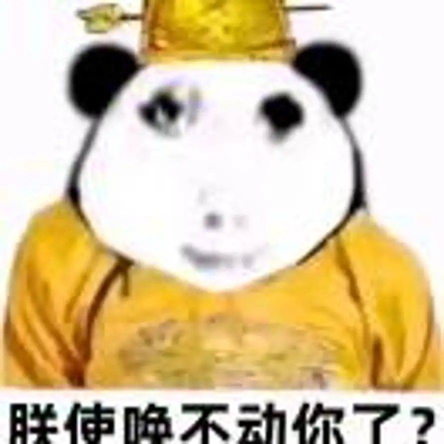 倾的头像