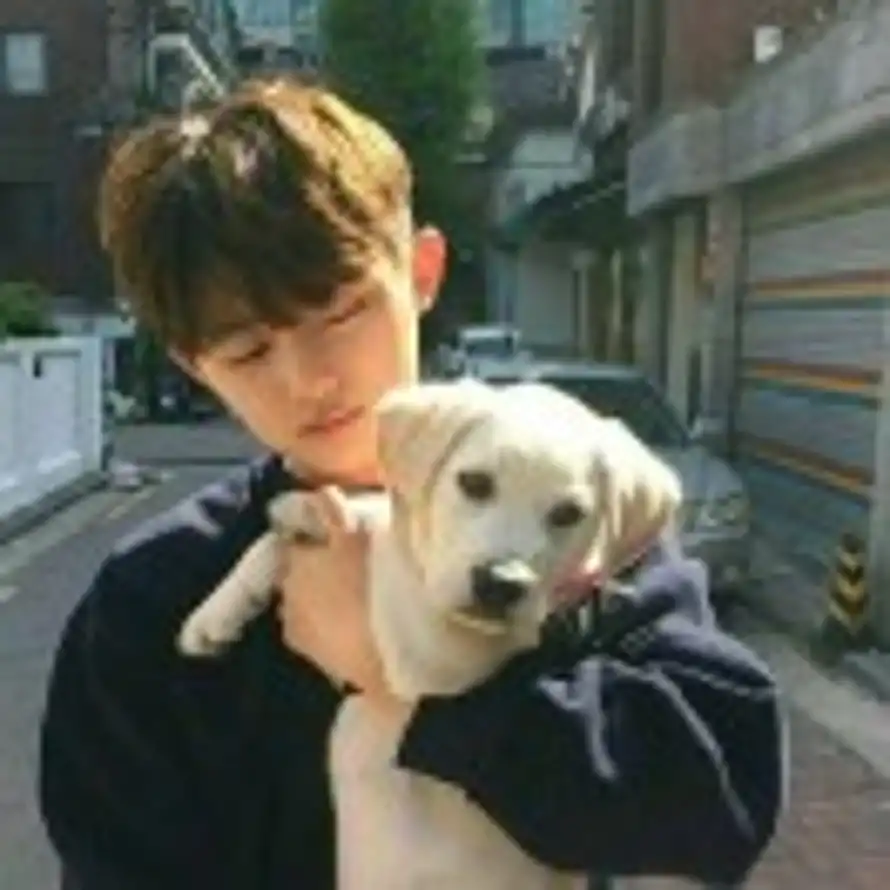 初夏丶初相识的头像