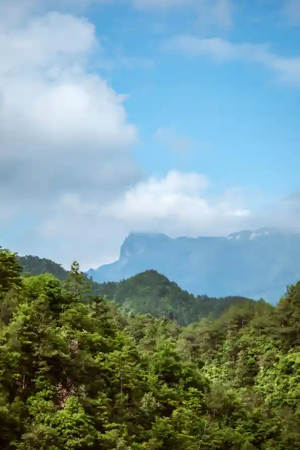 4k天空壁纸 - 山林 - 清新 - 户外景色「哲风壁纸」