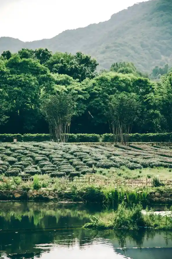 4k乡村壁纸 - 山水 - 庄稼 - 景致「哲风壁纸」