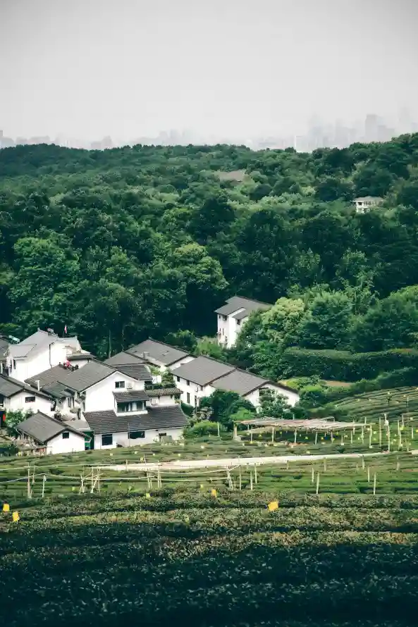 4k乡村壁纸 - 村落 - 田园 - 自然「哲风壁纸」