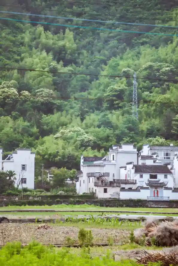 4k乡村壁纸 - 山林 - 村落 - 田园「哲风壁纸」