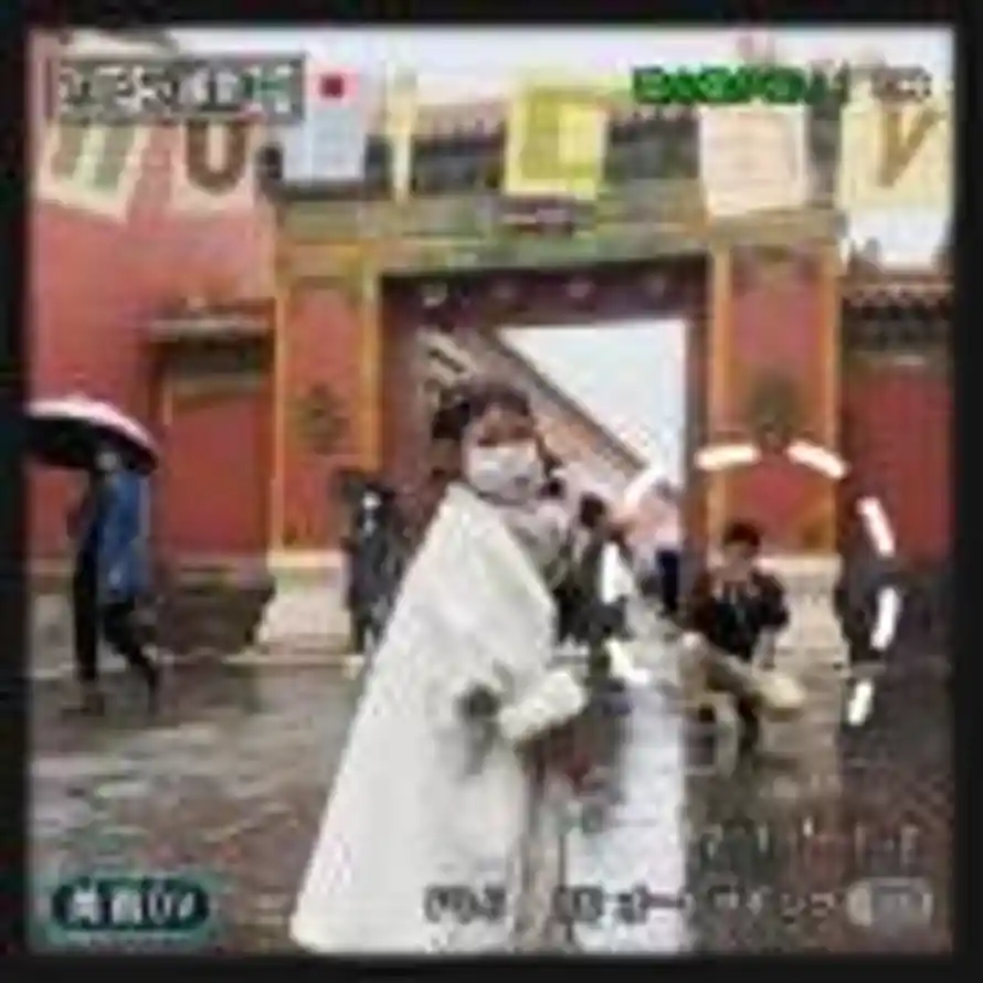 宝梅的头像
