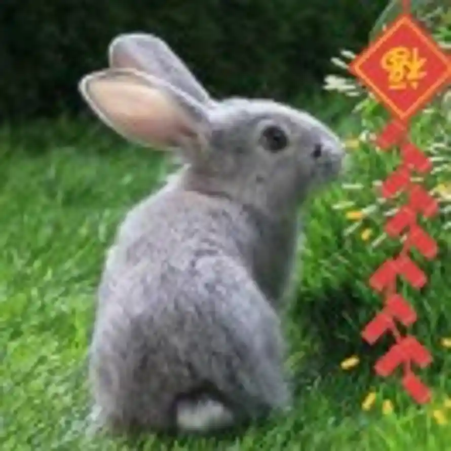 务净的头像