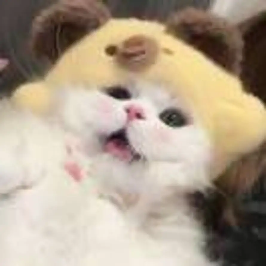 简讯的头像