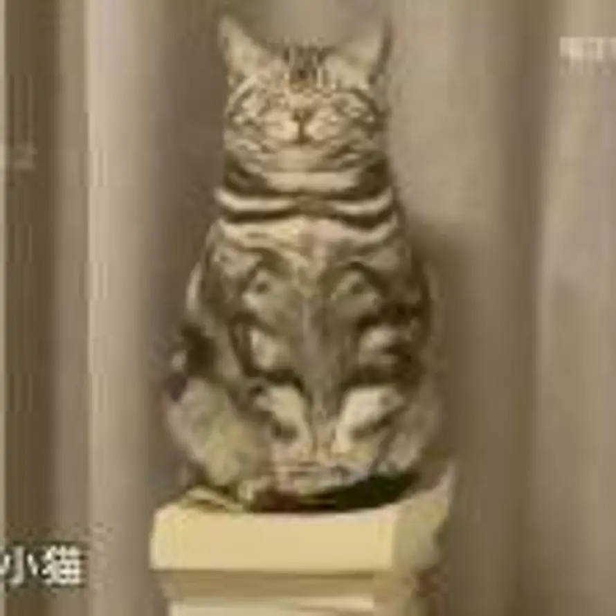铁锤的头像