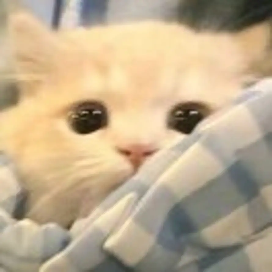 两颗西柚的头像