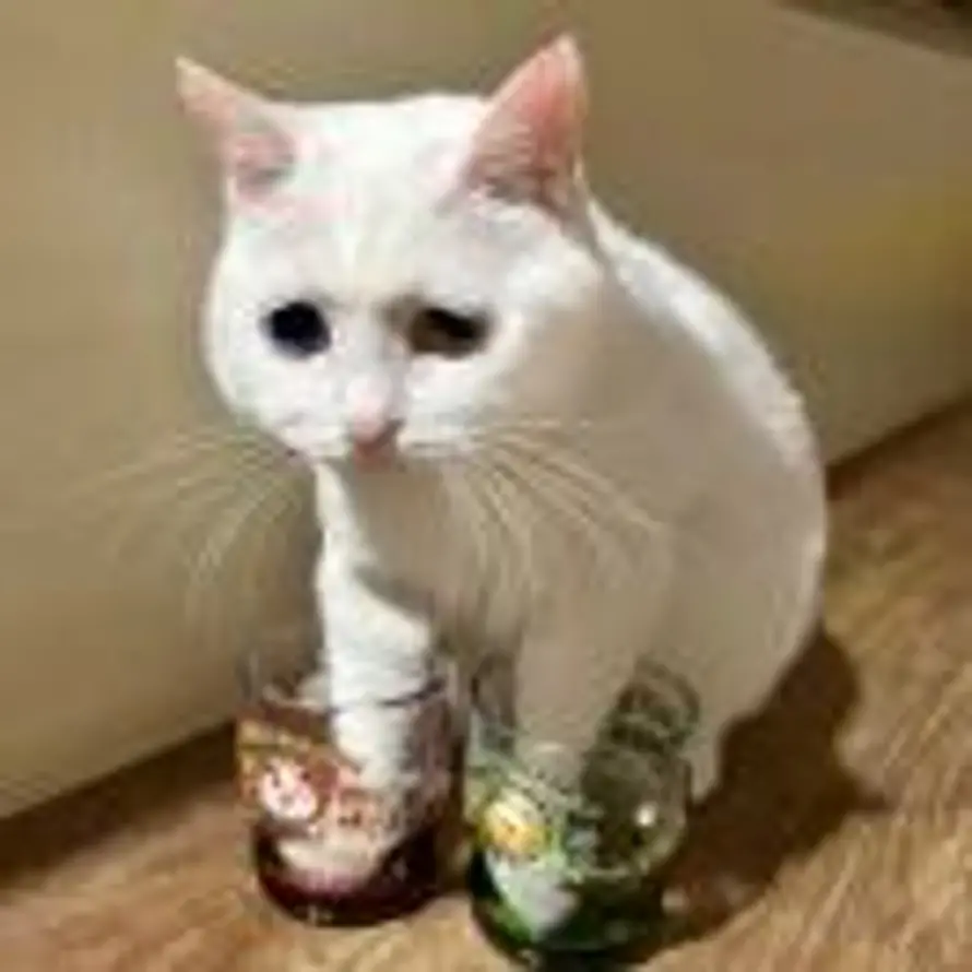 Monty _Lee的头像
