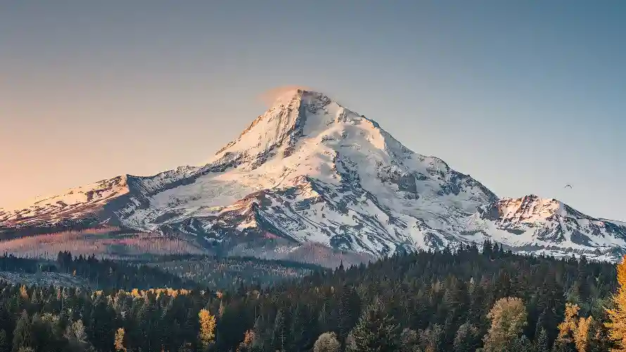 3k森林壁纸-壮丽风光和山-户外景观壁纸分享「哲风壁纸」