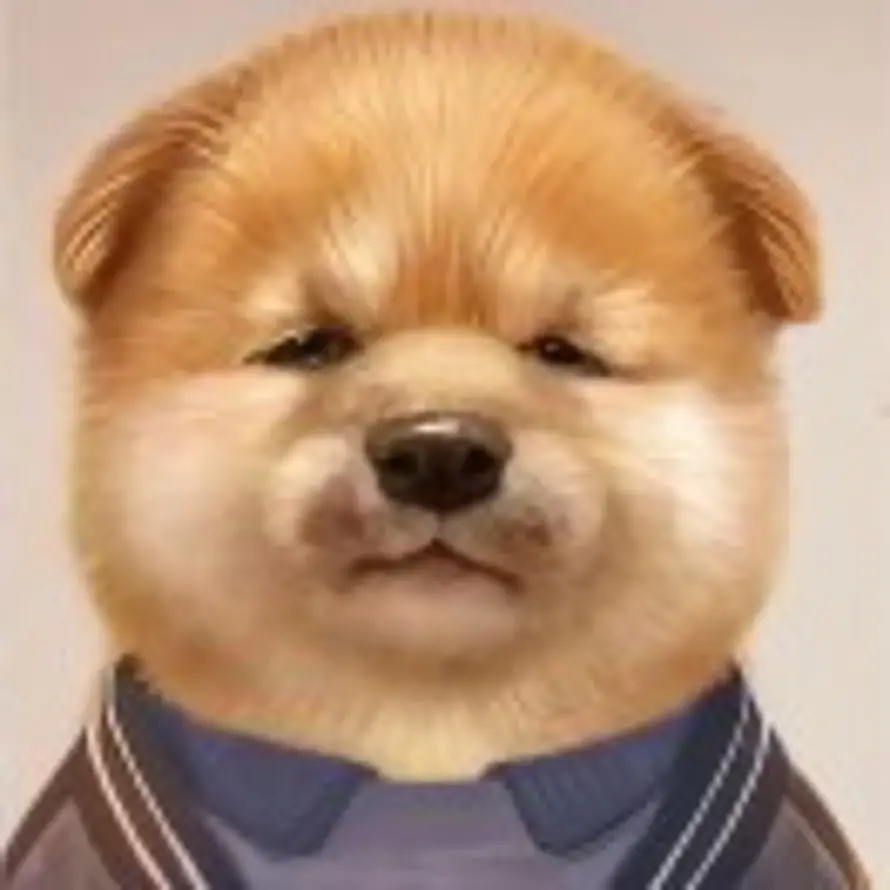 (ー`´ー)的头像