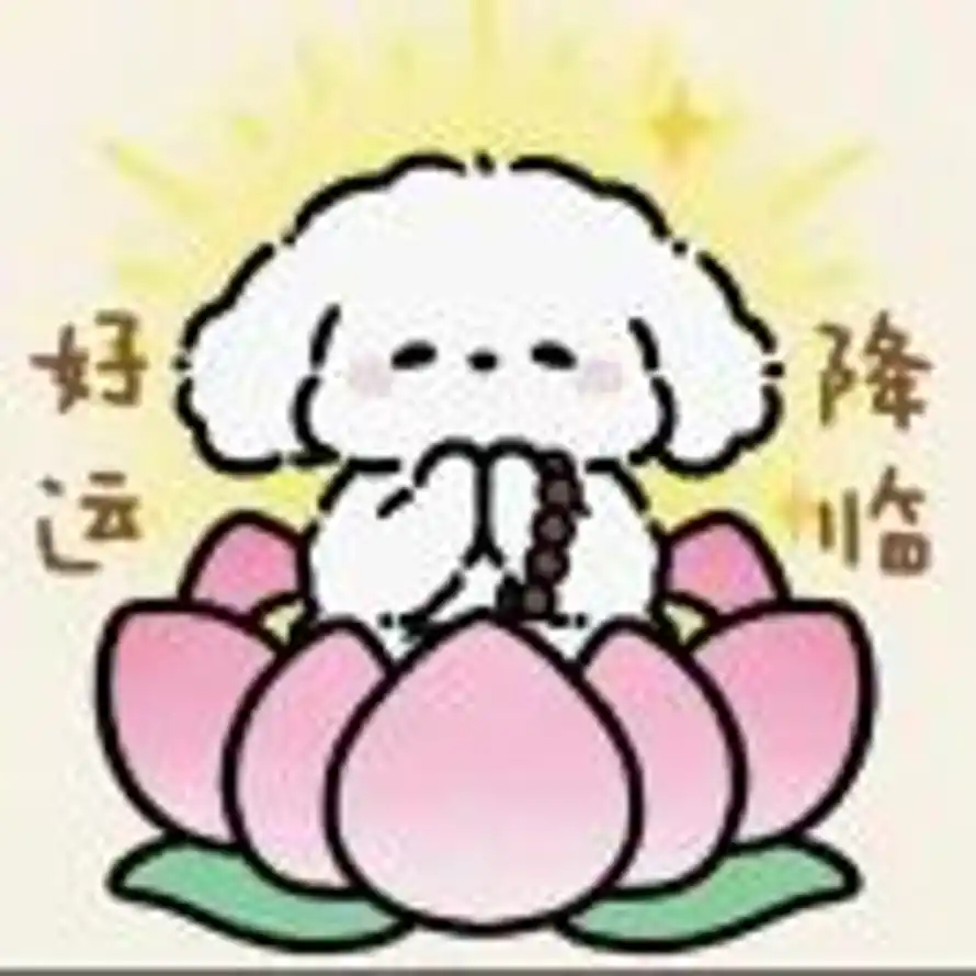 TEll ME的头像
