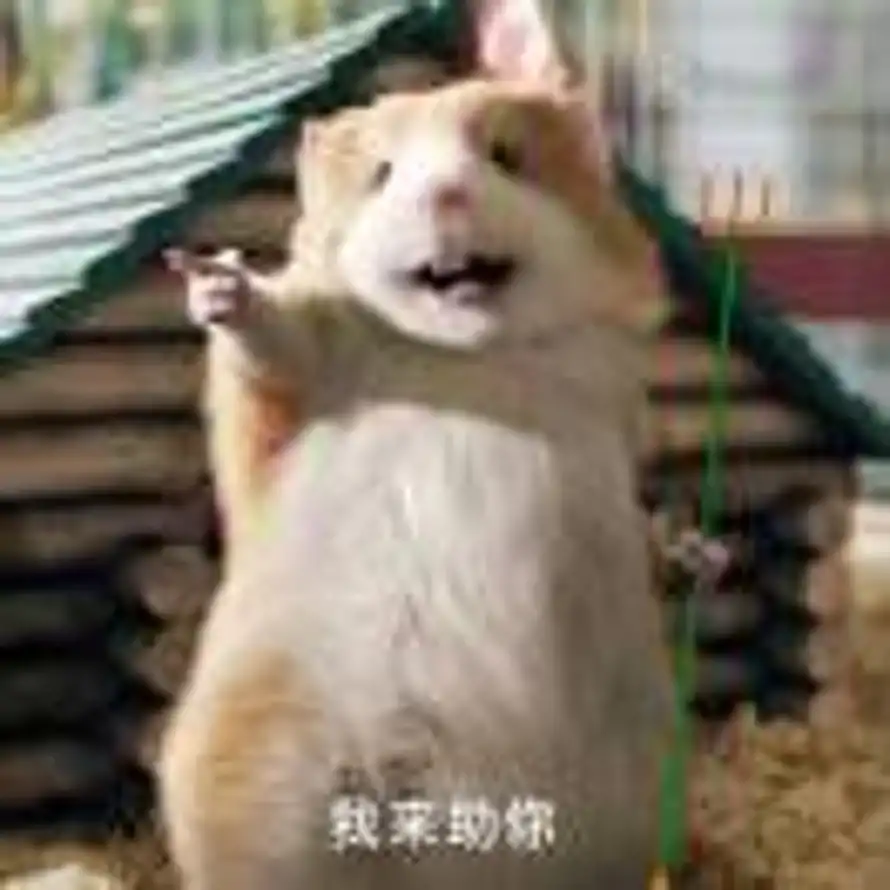 拾忆朝华的头像