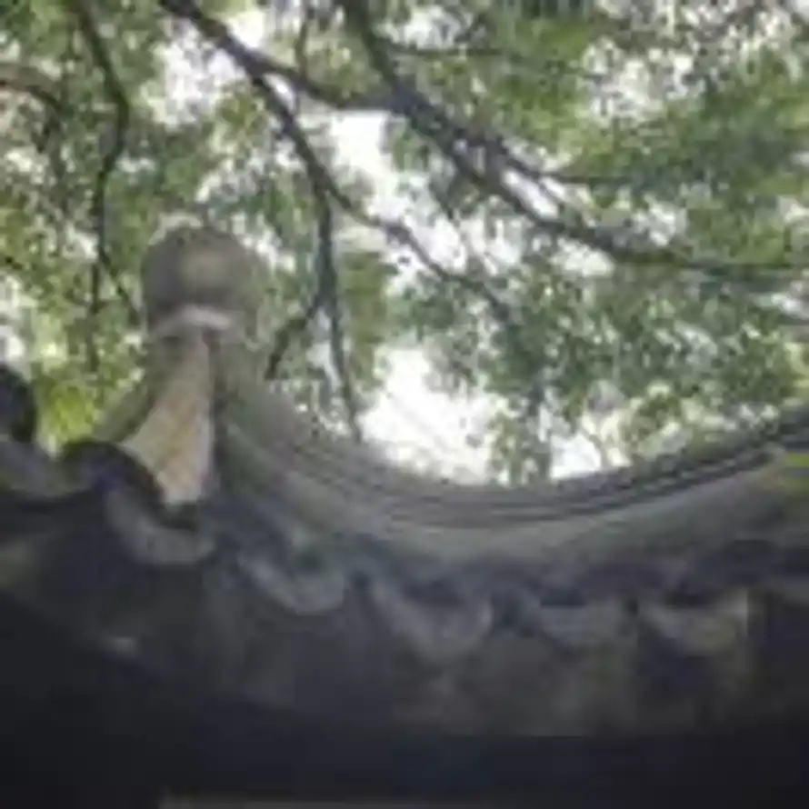 Mildado的头像