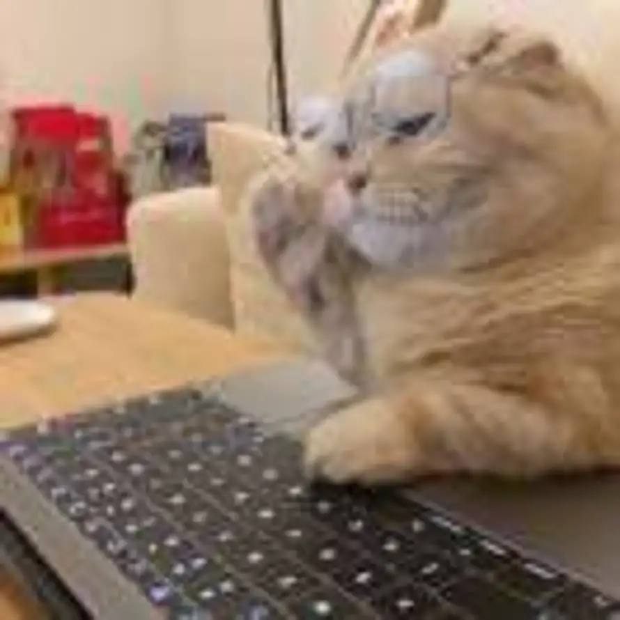 南栀.的头像