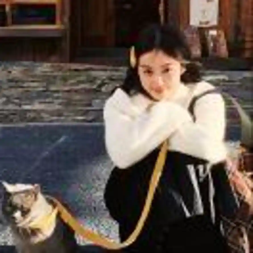 小羊睡了的头像