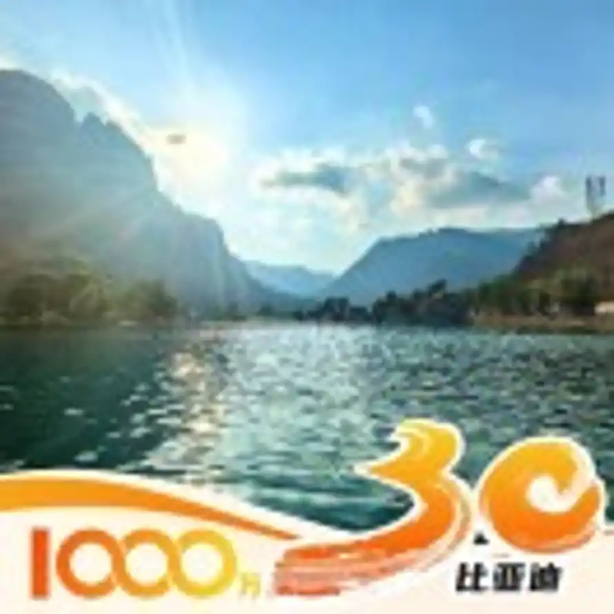 董亚伟宝丰望京路汇迪比亚迪的头像