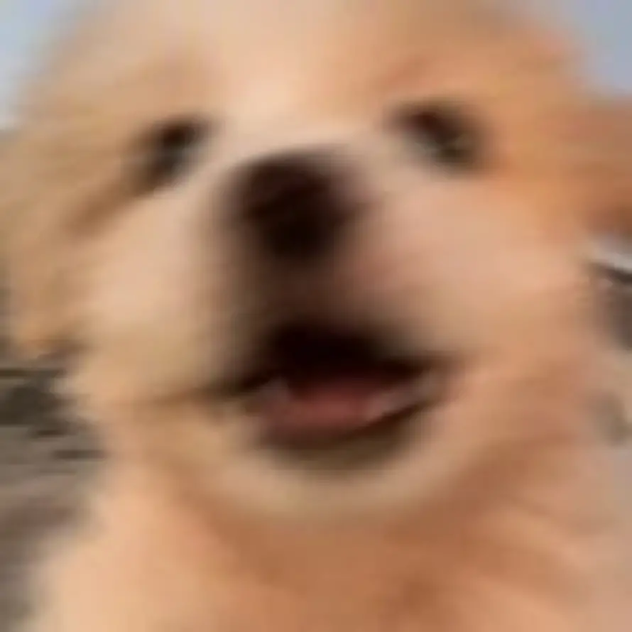 kevinyo_的头像