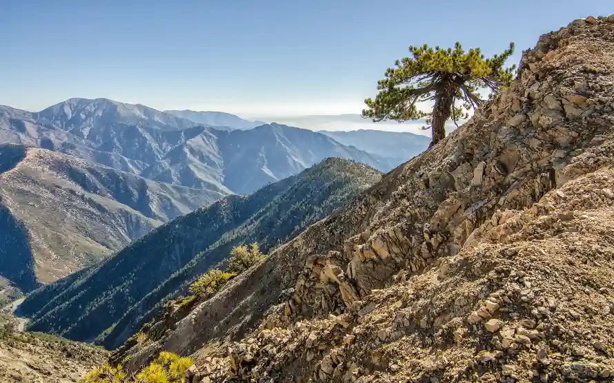 4k孤松壁纸-壮丽风光壁纸和山峰-自然景观免费下载「哲风壁纸」