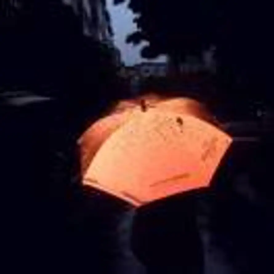 🐎🐎🐎的头像