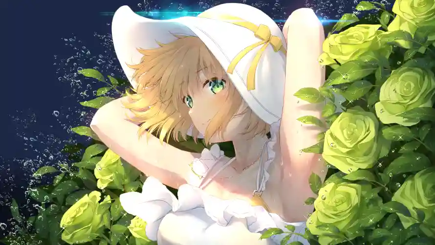 Favorite Image