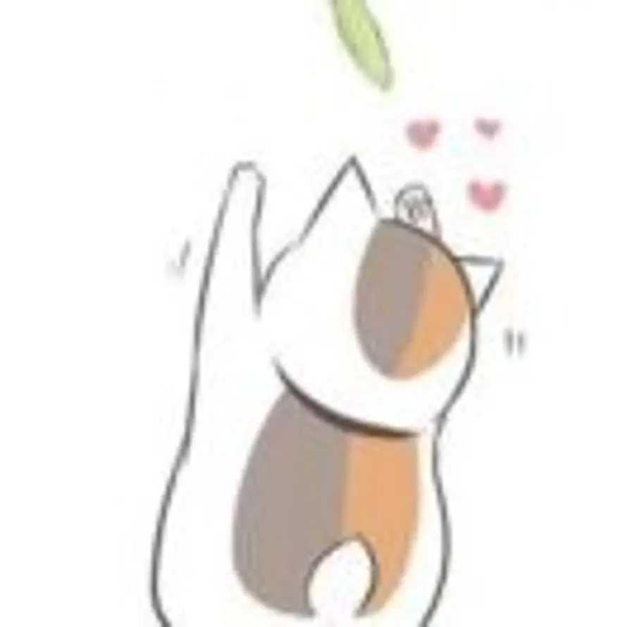 泉的头像