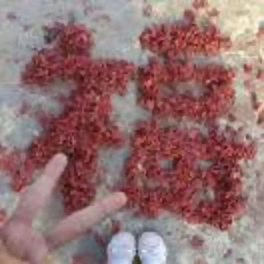 柏溪霖ᰔᩚ的头像