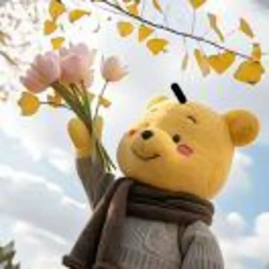 情念 🎀的头像